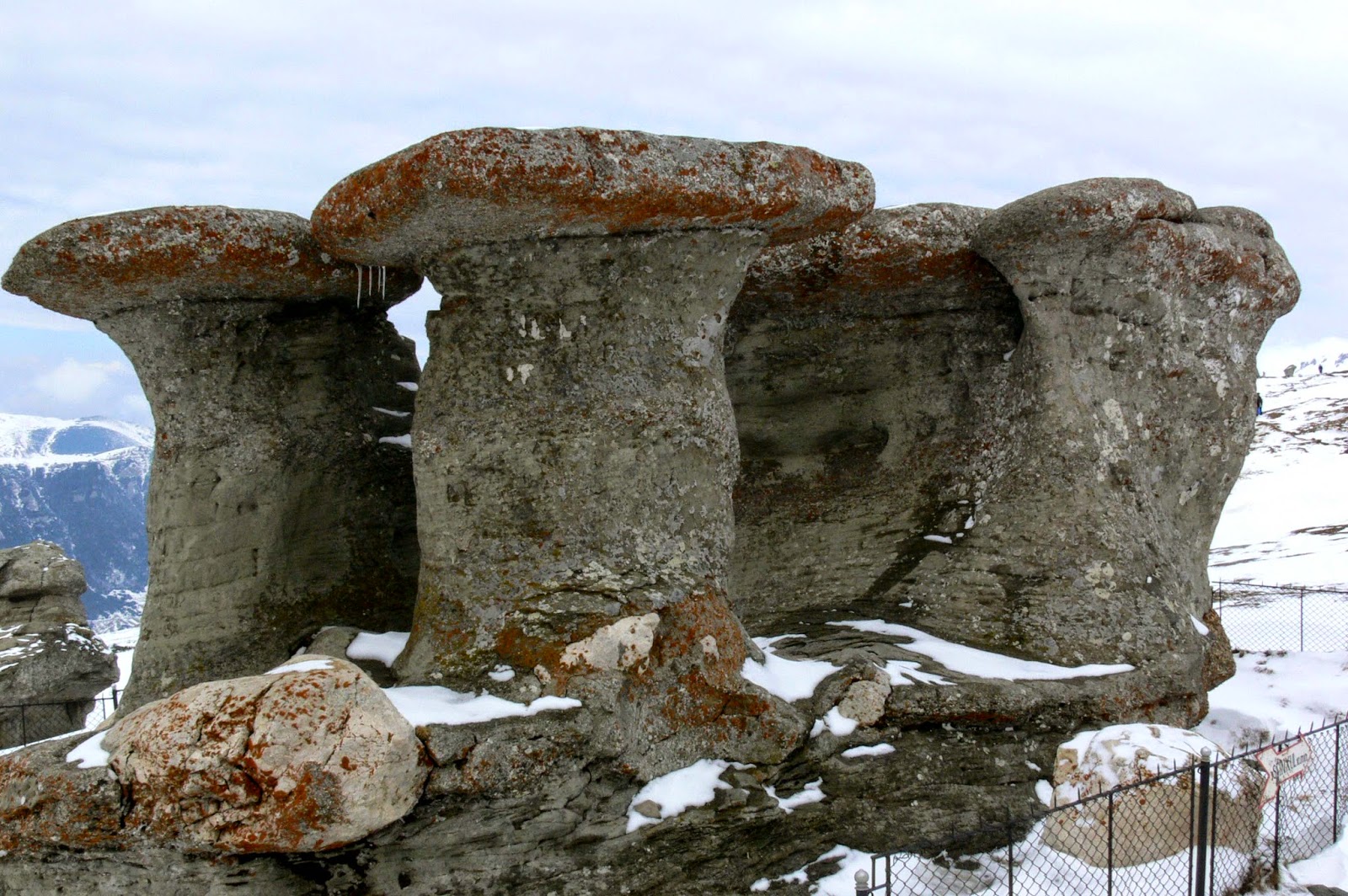 platoul bucegi - foto horea bedelean 03