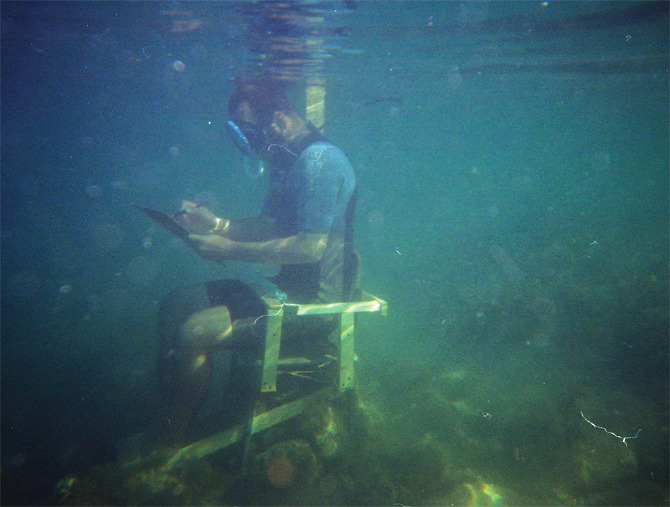 Desen subacvatic într-un acvariu imens la 18+ festival