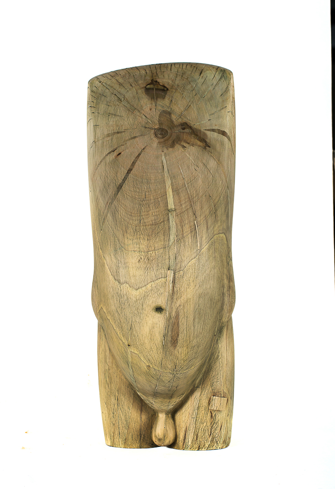 Cristea Simion Fragment lemn nuc 60x20x20