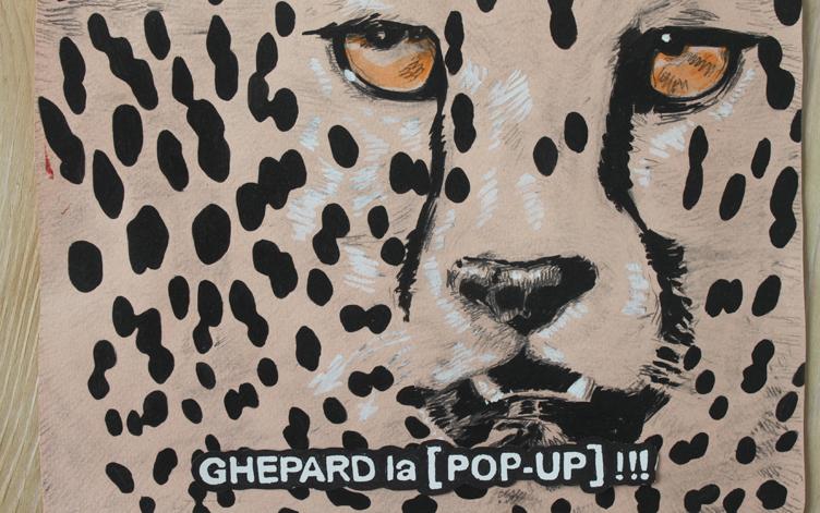 Ghepard la Pop Up