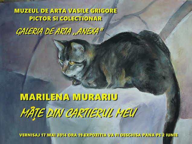 Marilena Murariu „Mâţe din cartierul meu” @ Muzeul de artă Vasile Grigore, București