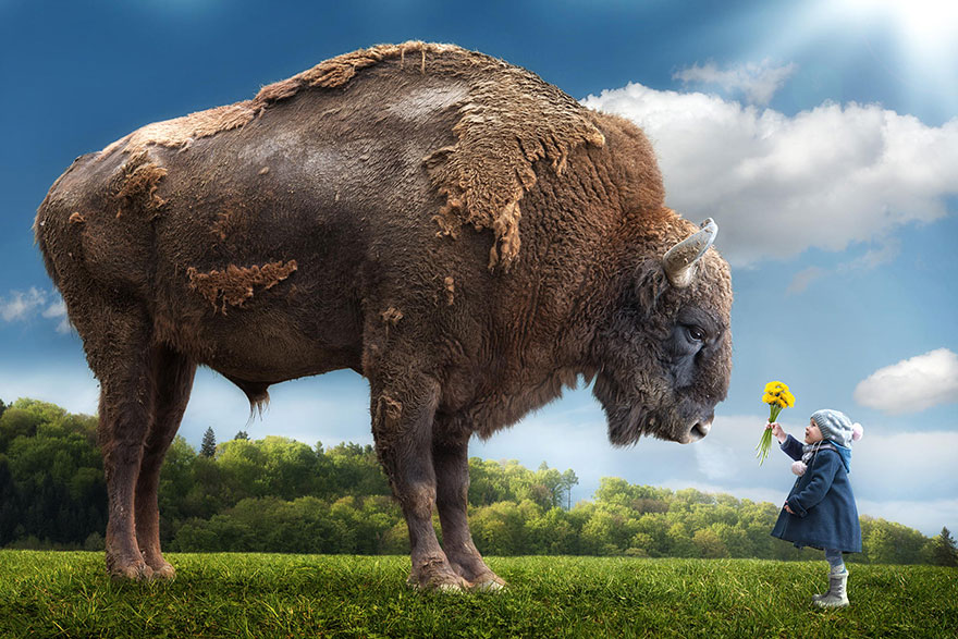 creative-dad-children-photo-manipulations-john-wilhelm-12