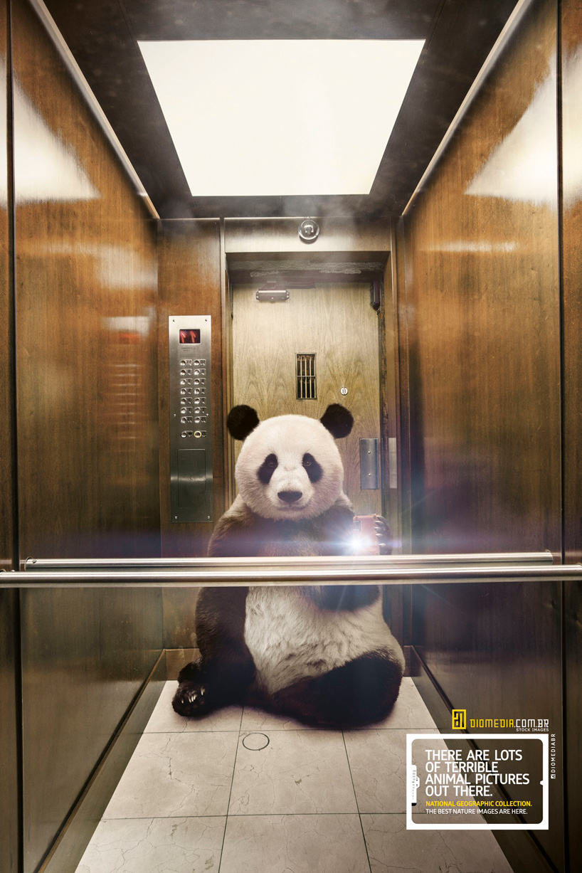 national-geographic-instagram-designboom01