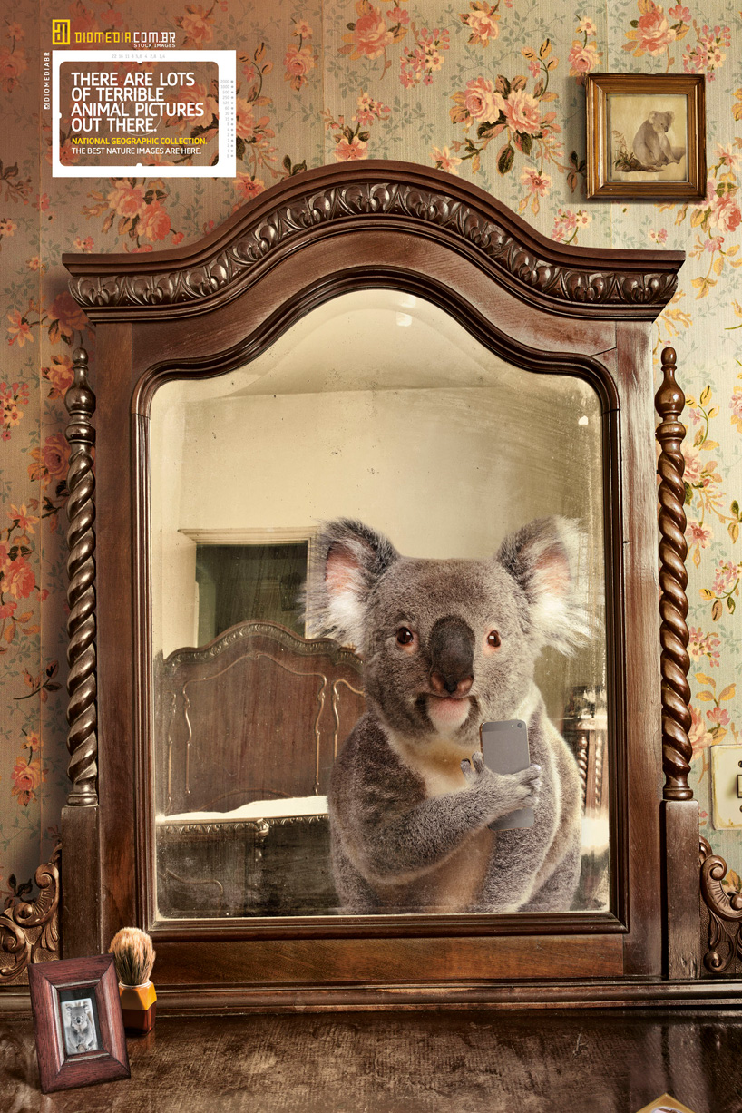 national-geographic-instagram-designboom03