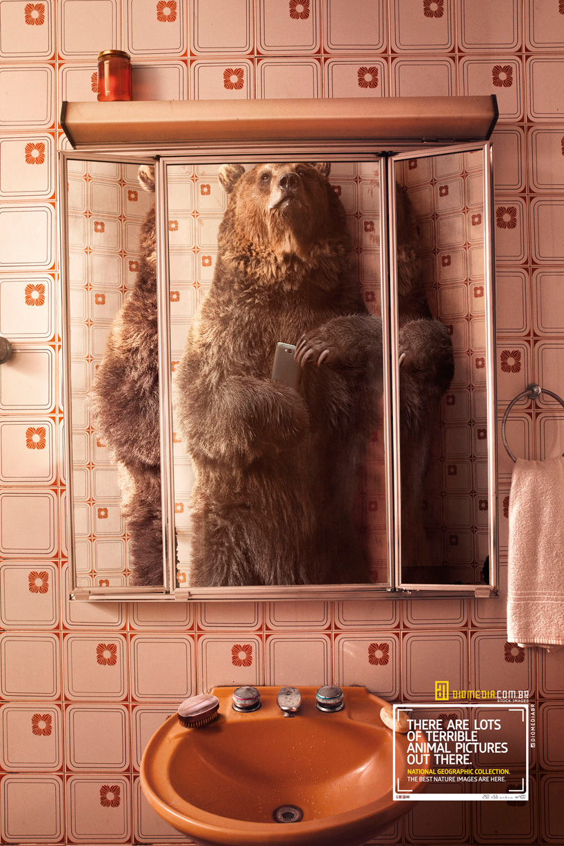 national-geographic-instagram-designboom04