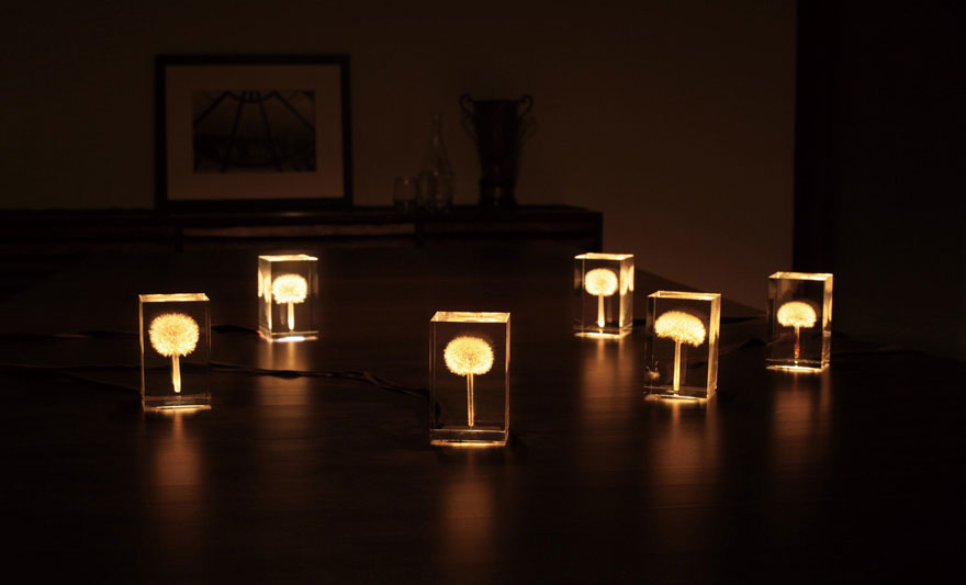 oled-dandelion-lights-takao-inoue-2
