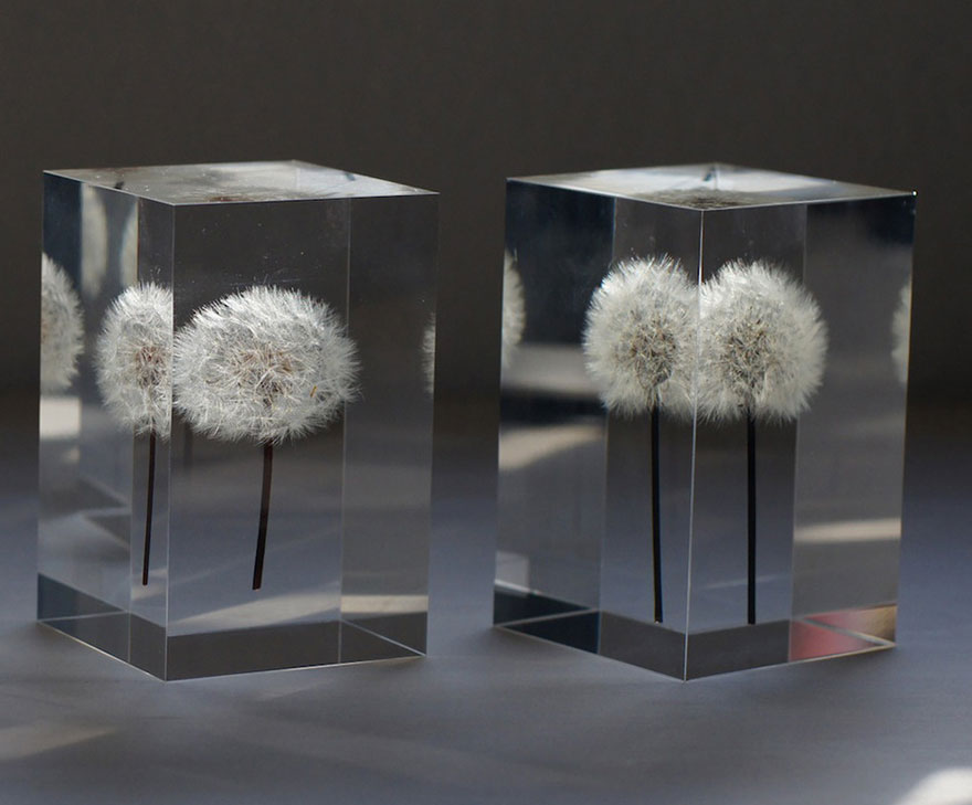 oled-dandelion-lights-takao-inoue-3