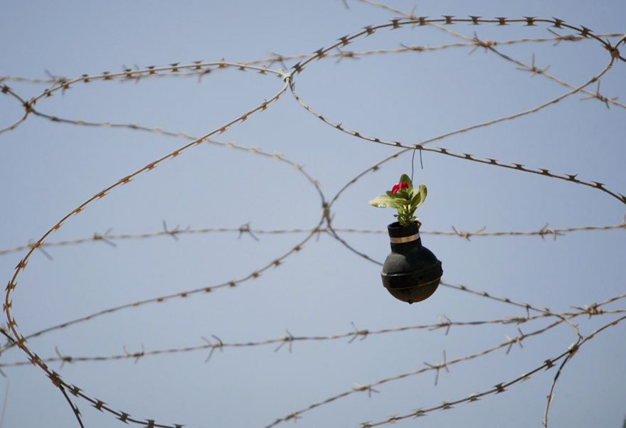 tear-gas-flower-pots-palestine-3