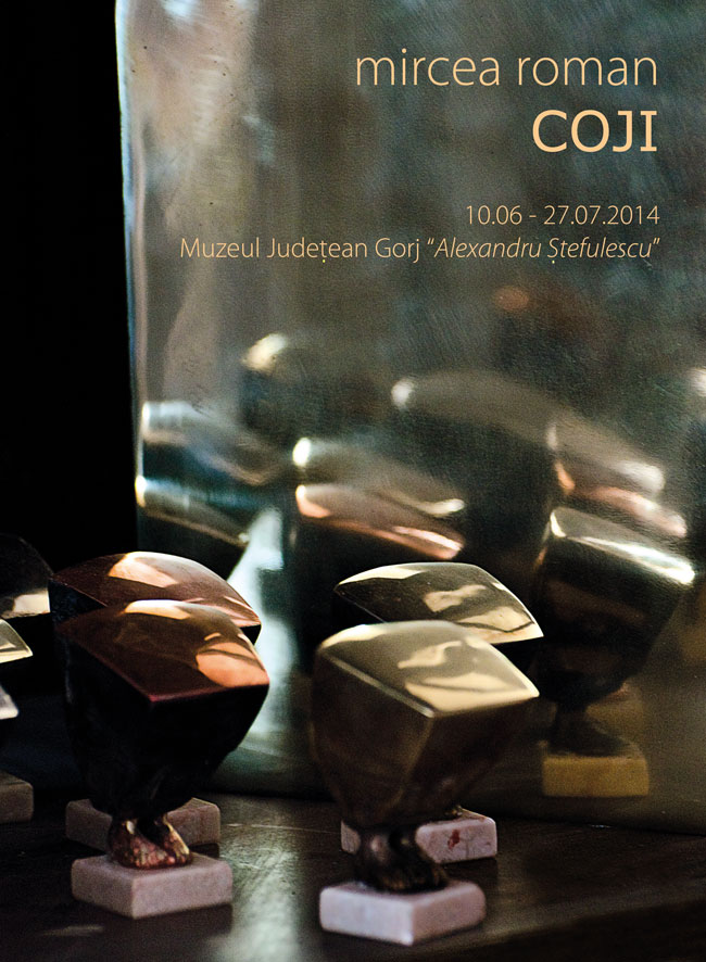 Mircea Roman „Coji” @ Muzeul Judeţean Gorj „Alexandru Ștefulescu”