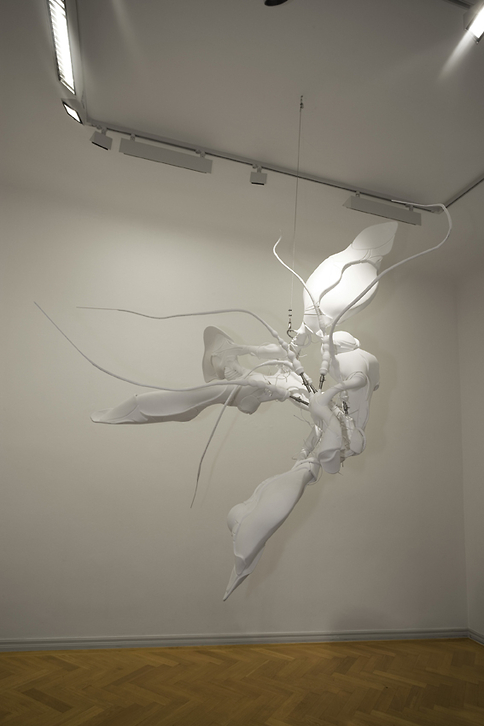 Lee Bul (4)