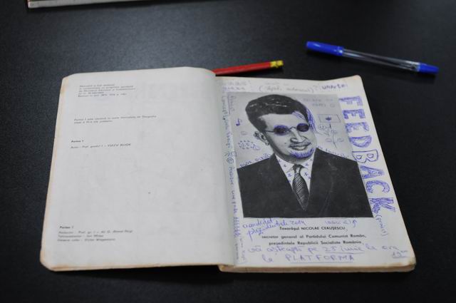 Resize of 04 gelu toaipa LM0_02