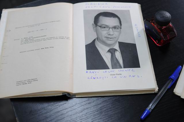 Resize of 04 gelu toaipa LM0_04