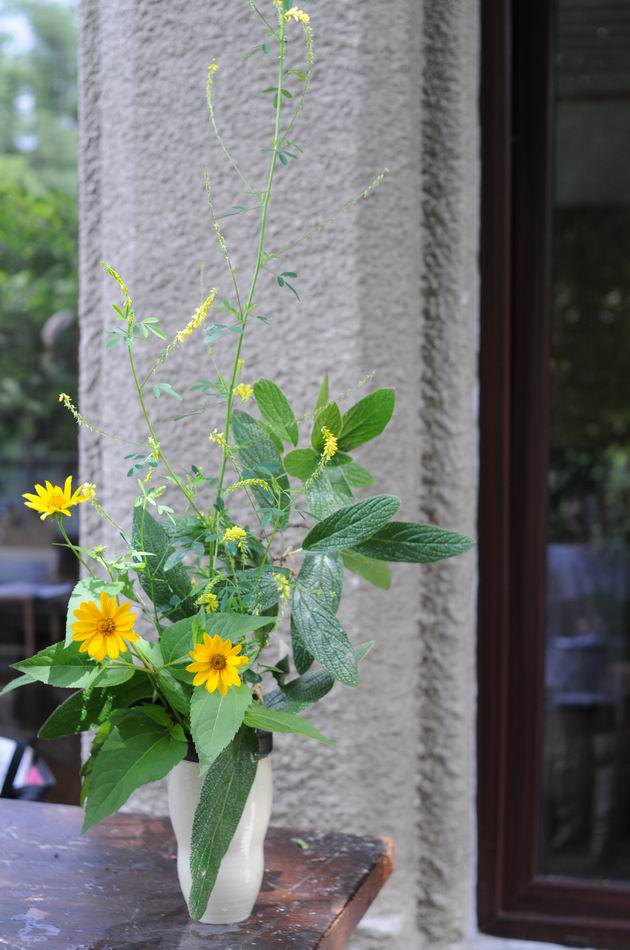 Resize of Shogo Kariyazaki Kariyzaki - ikebana - foto lucian muntean _38