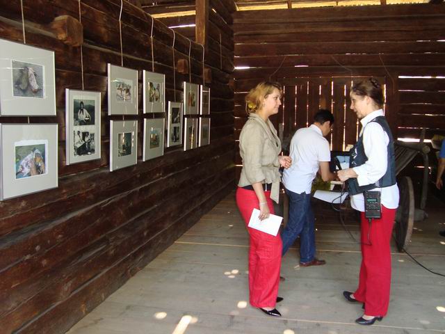 Resize of rogojel - lucian muntean - muzeul satului vernisaj 28