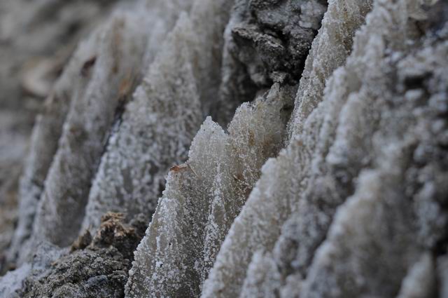 Resize of sovata - sare - foto lucian muntean _13