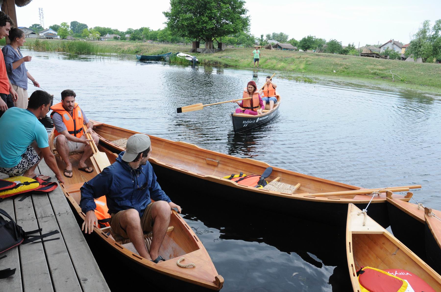 pelicam delta dunarii foto lucian muntean 039