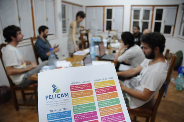 pelicam - tulcea - foto lucian muntean 005