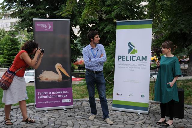 pelicam - tulcea - foto lucian muntean 021