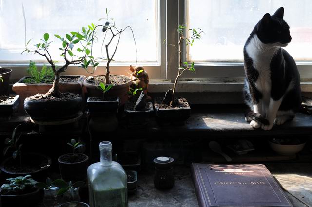 Resize of andreea albani - atelier - foto lucian muntean 18