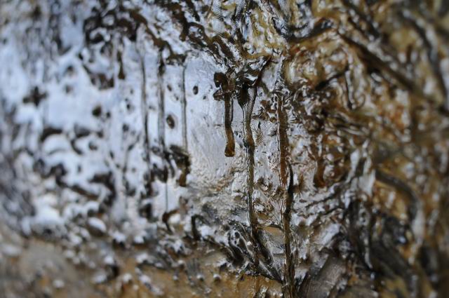 Resize of andreea albani - atelier - foto lucian muntean 25