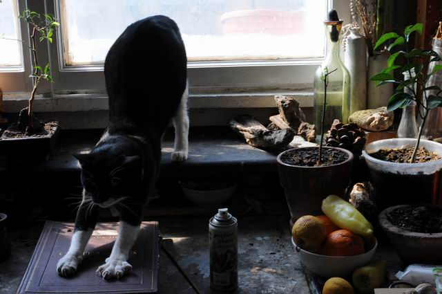 Resize of andreea albani - atelier - foto lucian muntean 45