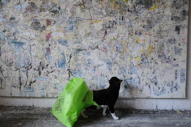 Resize of andreea albani - atelier - foto lucian muntean 46
