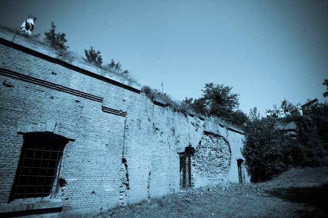 Resize of world war I -reconstitution - romania - photo lucian muntean 096