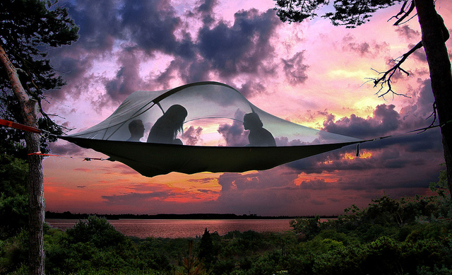 Tentsile Tree Tents, Tents That Tie to Trees for a Suspended Camping Experience in Spots Without Flat Ground