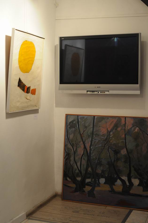 colony art - foto lucian muntean 024