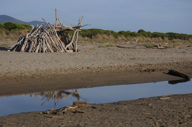 principina a mare - toscana - italia - foto lucian muntean 03