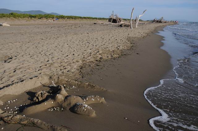 principina a mare - toscana - italia - foto lucian muntean 14