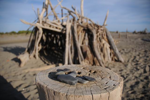 principina a mare - toscana - italia - foto lucian muntean 17