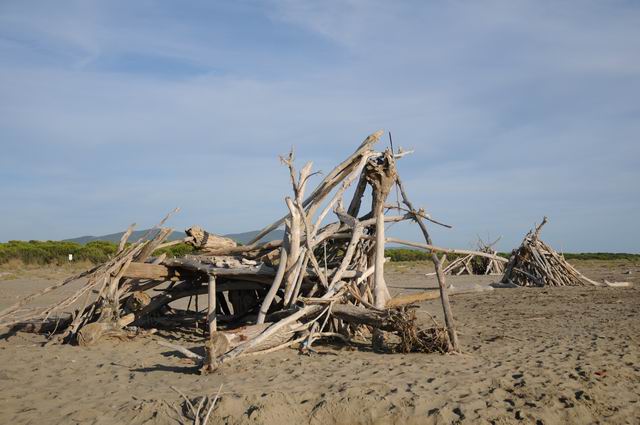 principina a mare - toscana - italia - foto lucian muntean 18