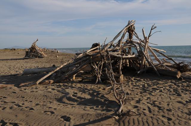 principina a mare - toscana - italia - foto lucian muntean 19
