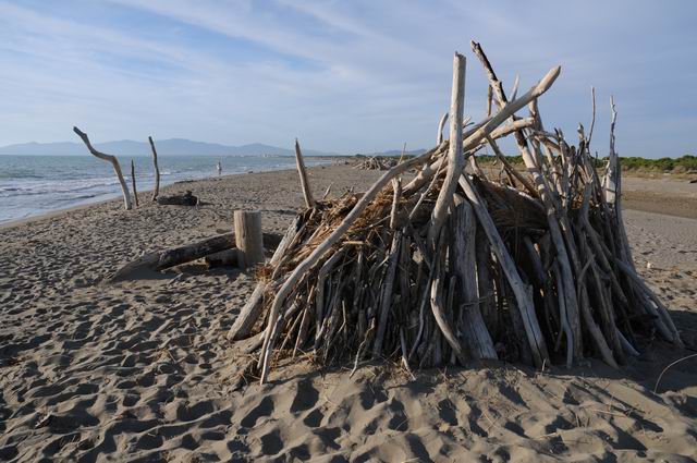 principina a mare - toscana - italia - foto lucian muntean 20