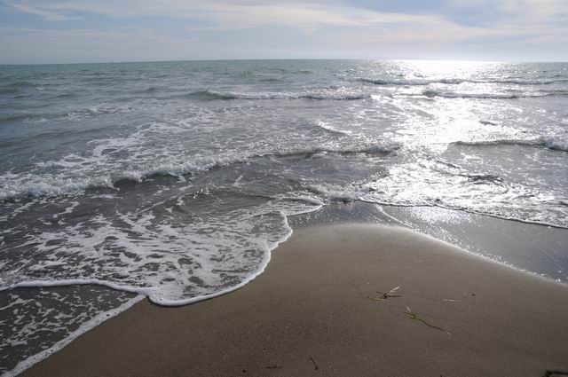 principina a mare - toscana - italia - foto lucian muntean 24