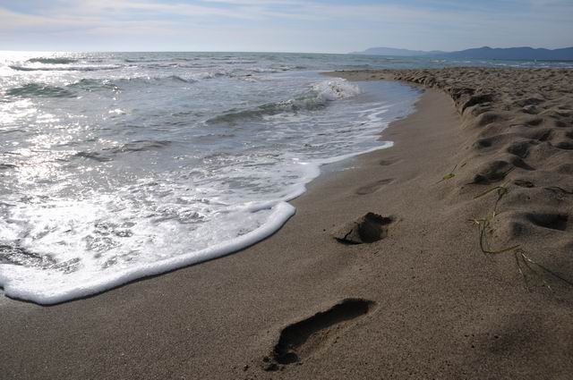 principina a mare - toscana - italia - foto lucian muntean 25