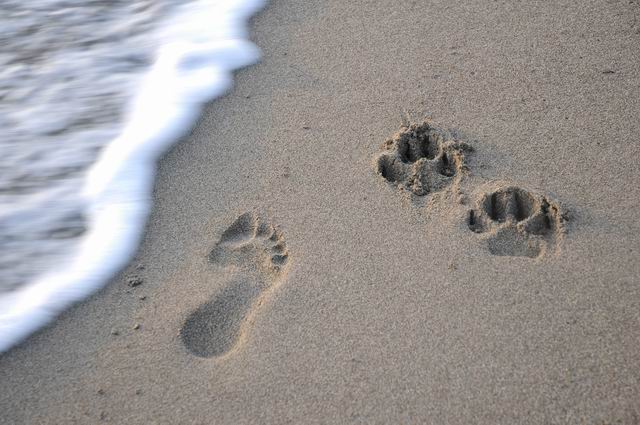 principina a mare - toscana - italia - foto lucian muntean 26