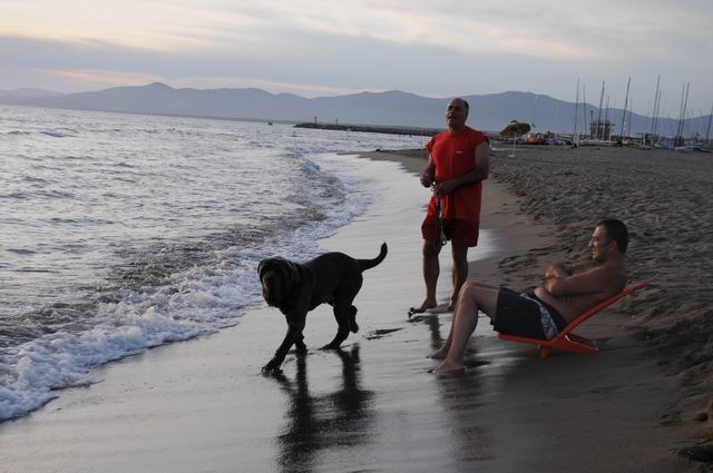 principina a mare - toscana - italia - foto lucian muntean 27