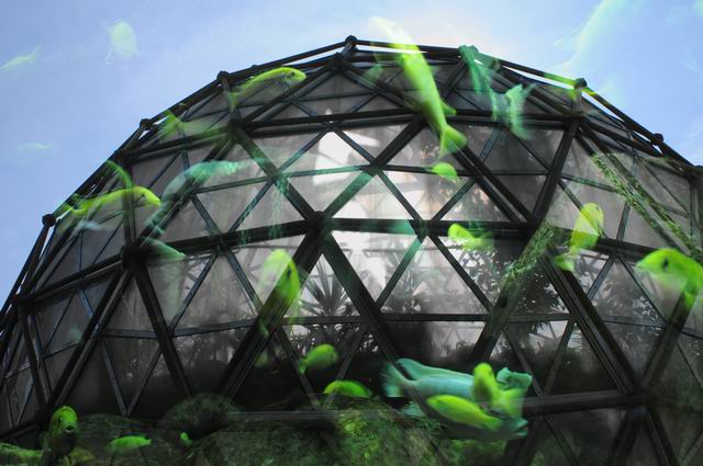 gradina botanica jibou foto lucian muntean _0004