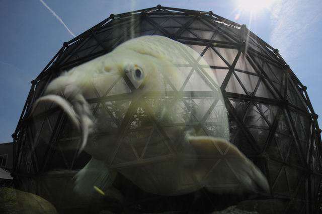 gradina botanica jibou foto lucian muntean _0005