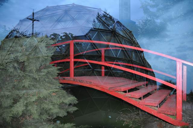 gradina botanica jibou foto lucian muntean _0006