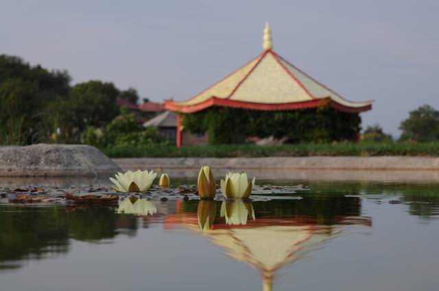 gradina botanica vasile fati - jibou - foto lucian muntean 06