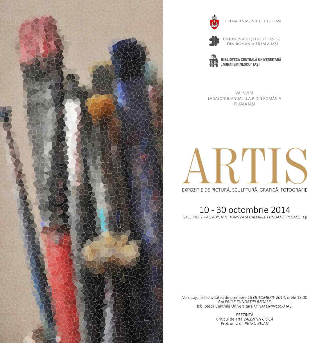 Salonul Municipal ARTIS 2014, Iași