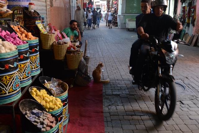 marrakech - maroc - photo lucian muntean 021