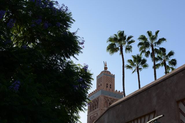 marrakech - maroc - photo lucian muntean 057