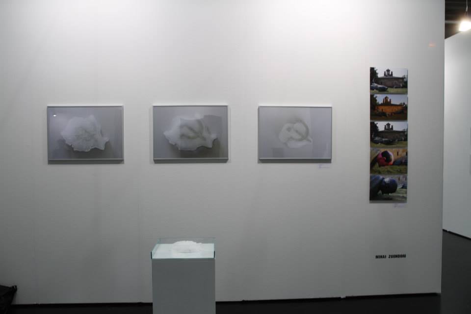 proiect 25 Galeria Atelier 030202  Viennafair 2014 (13)