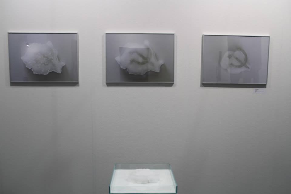 proiect 25 Galeria Atelier 030202  Viennafair 2014 (5)