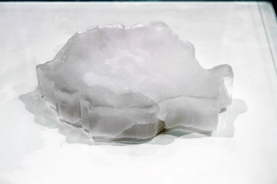 proiect 25 Galeria Atelier 030202  Viennafair 2014 (9)