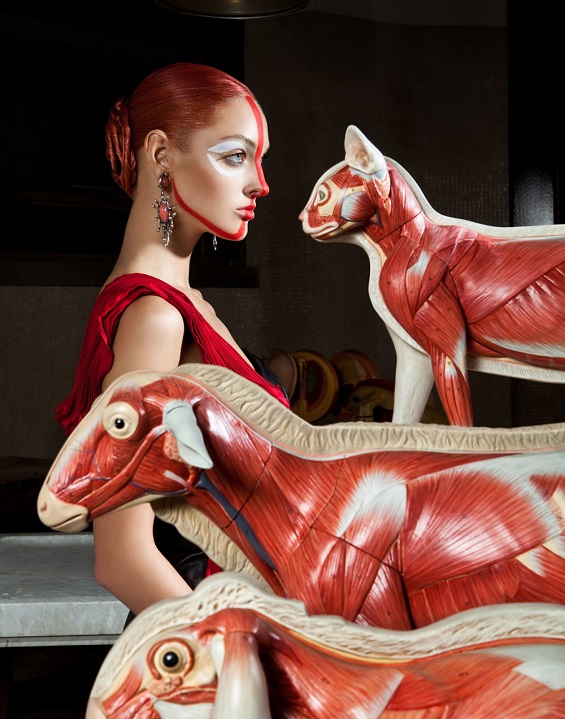 Lucia Giacani’s Interesting-Yet-Bizarre Fashion Photos Of Models And Animal Anatomy